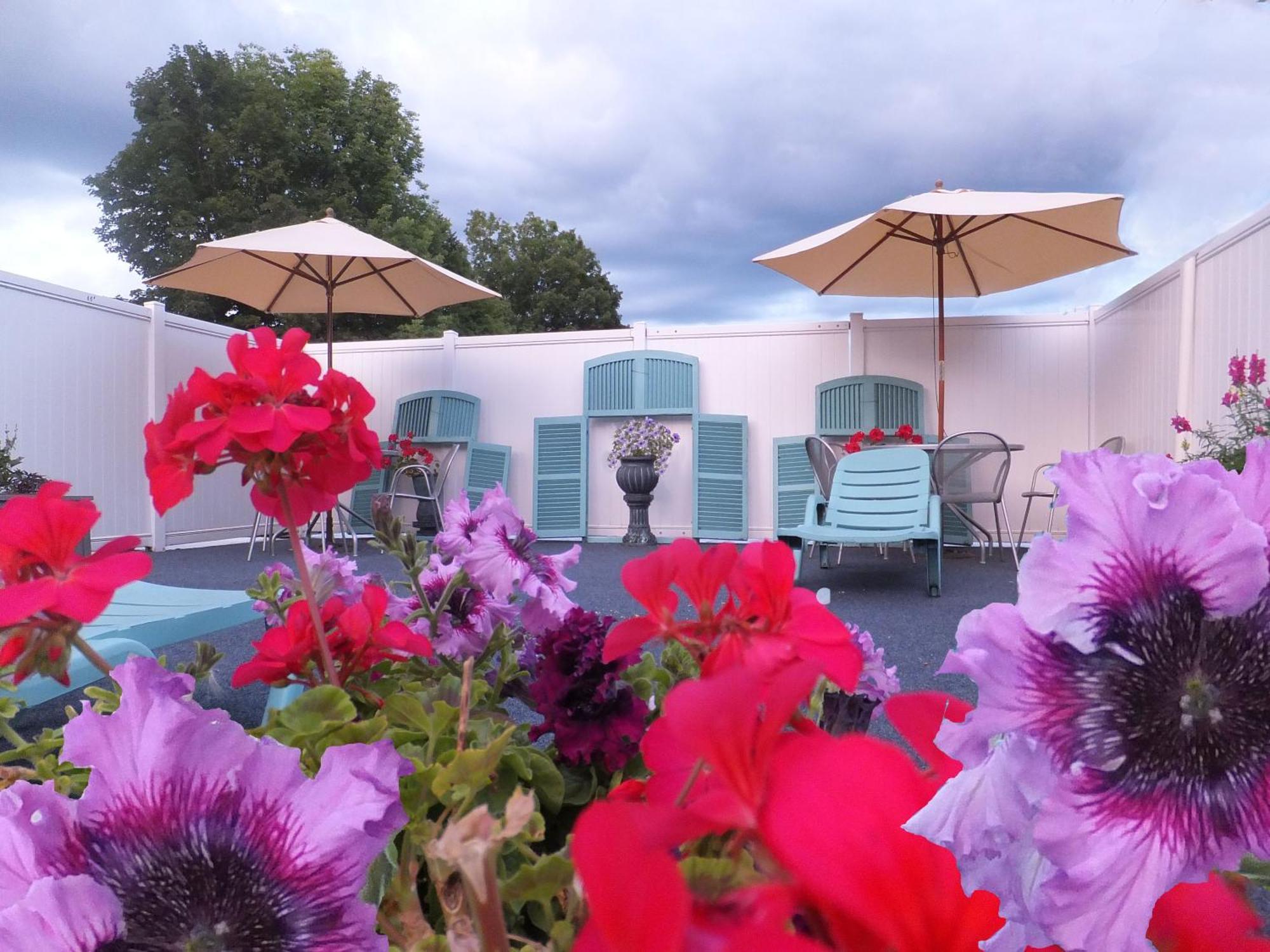Windsor Motel Lake George Exteriér fotografie